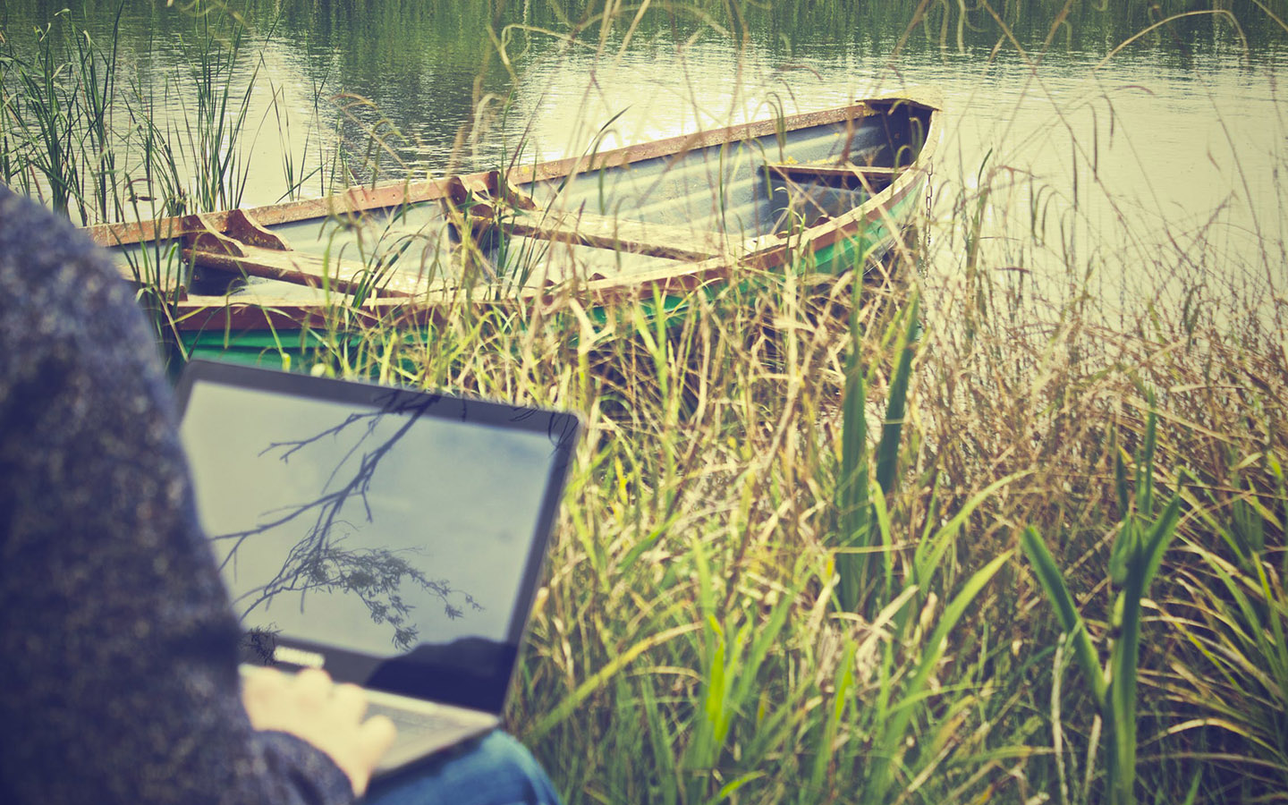 Person on a lakeshore with a laptop.