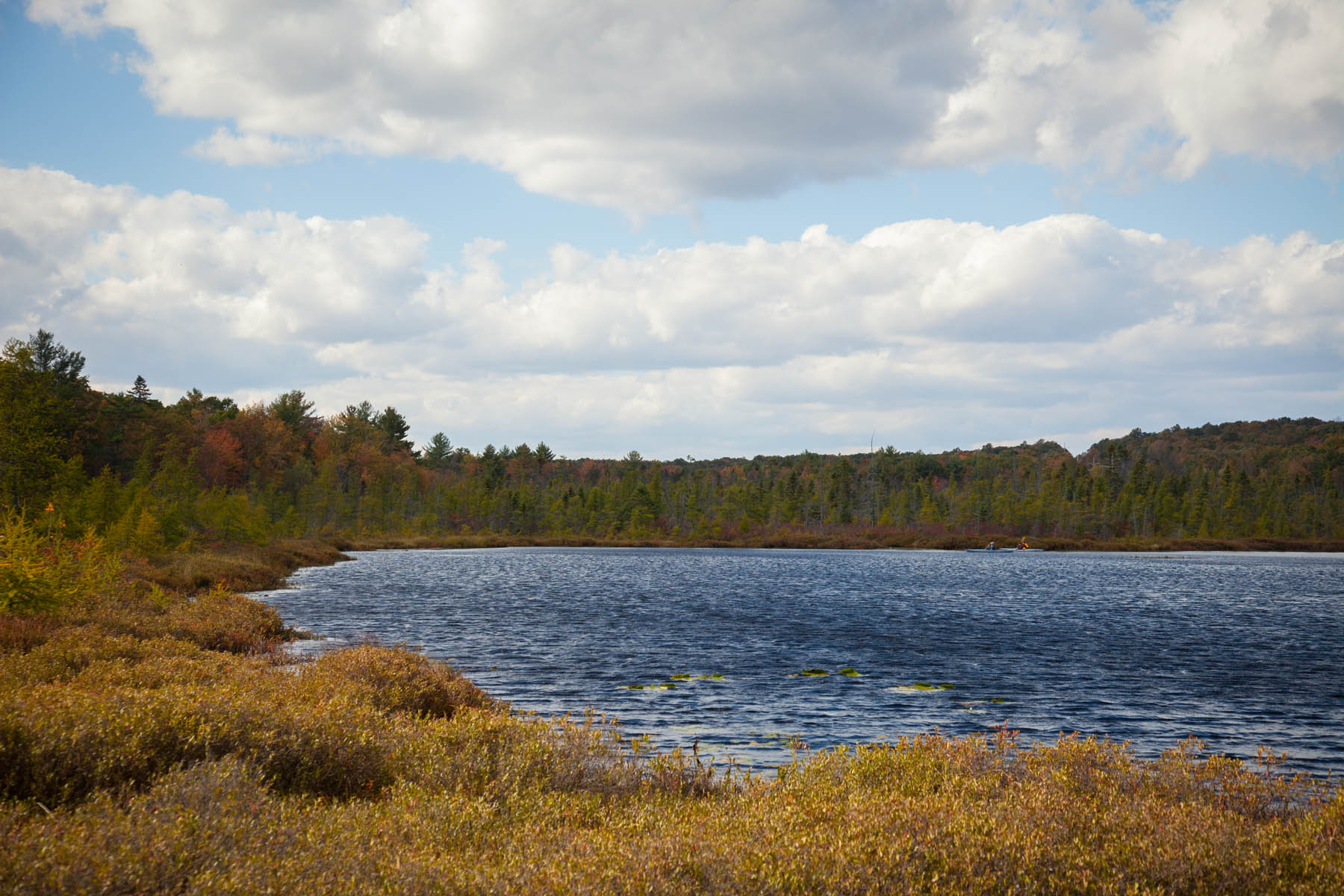 Fall view of Lake Teedyuskung