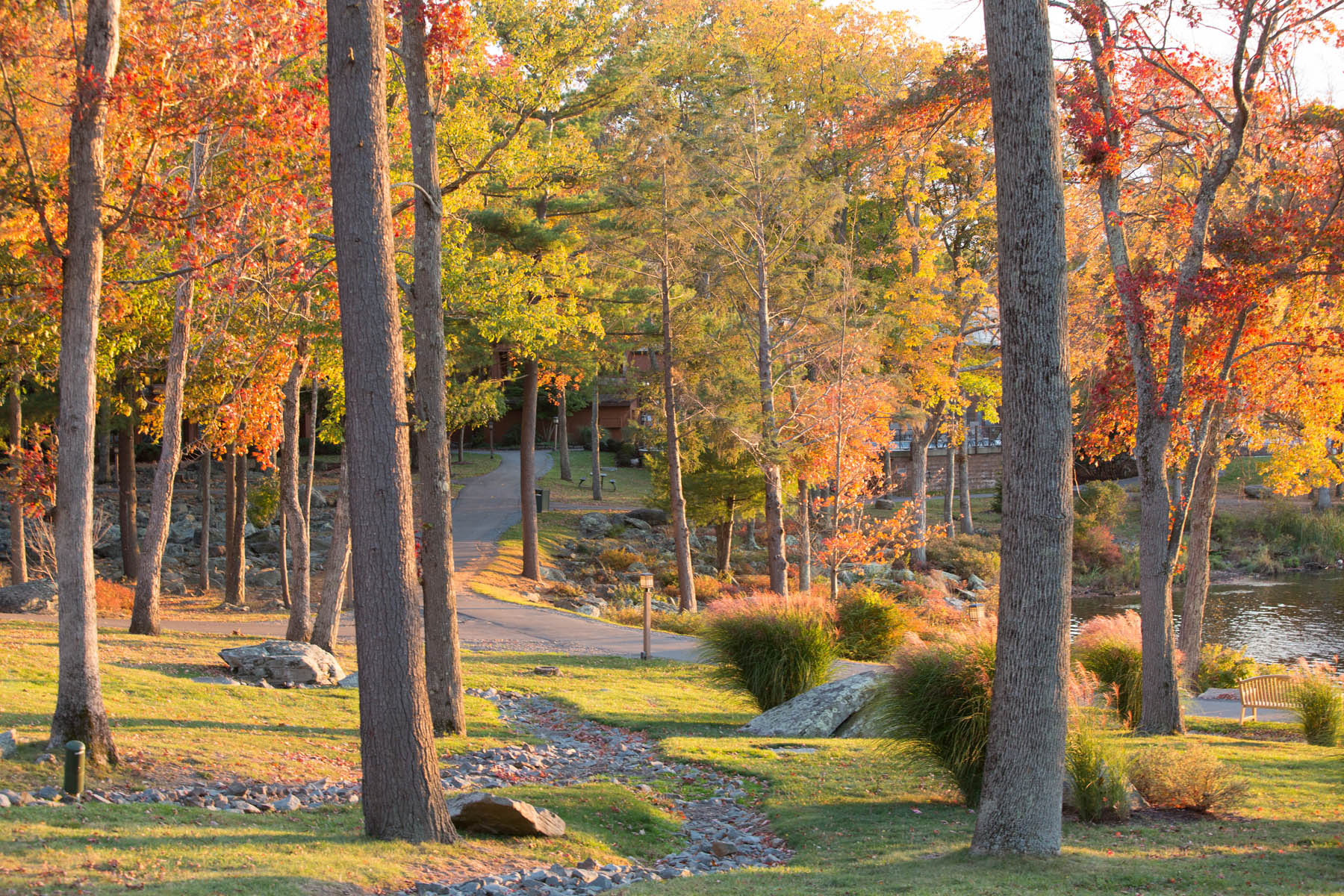 Fall foilage on Woodloch trail.