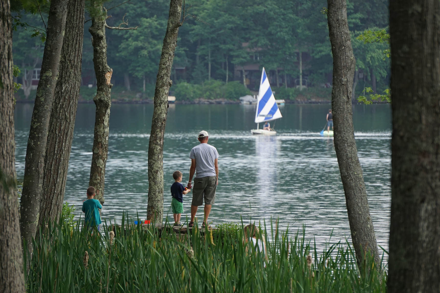 Adult and young boy fishing off lakeside.