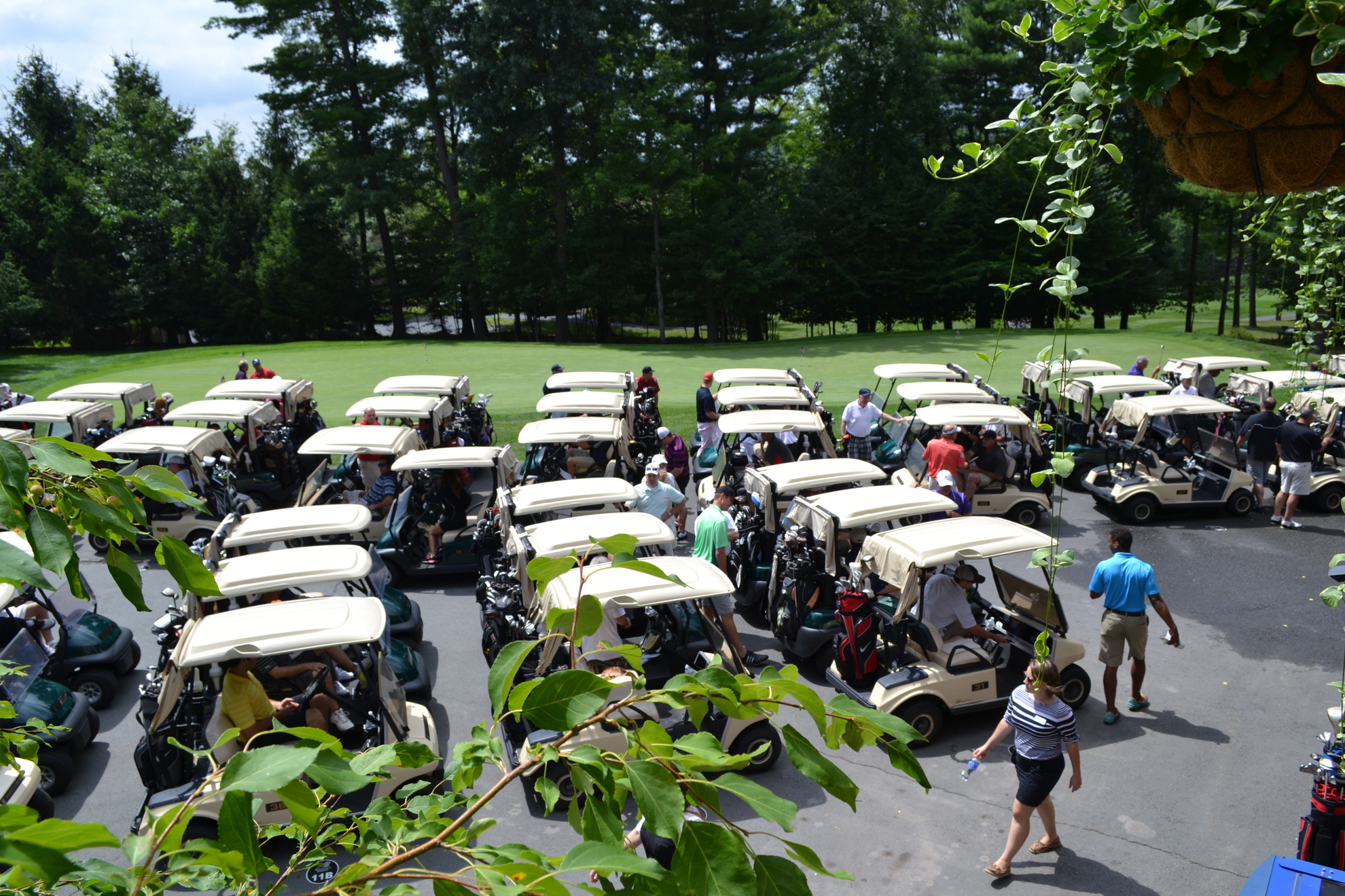Collection of golfers and golf carts.