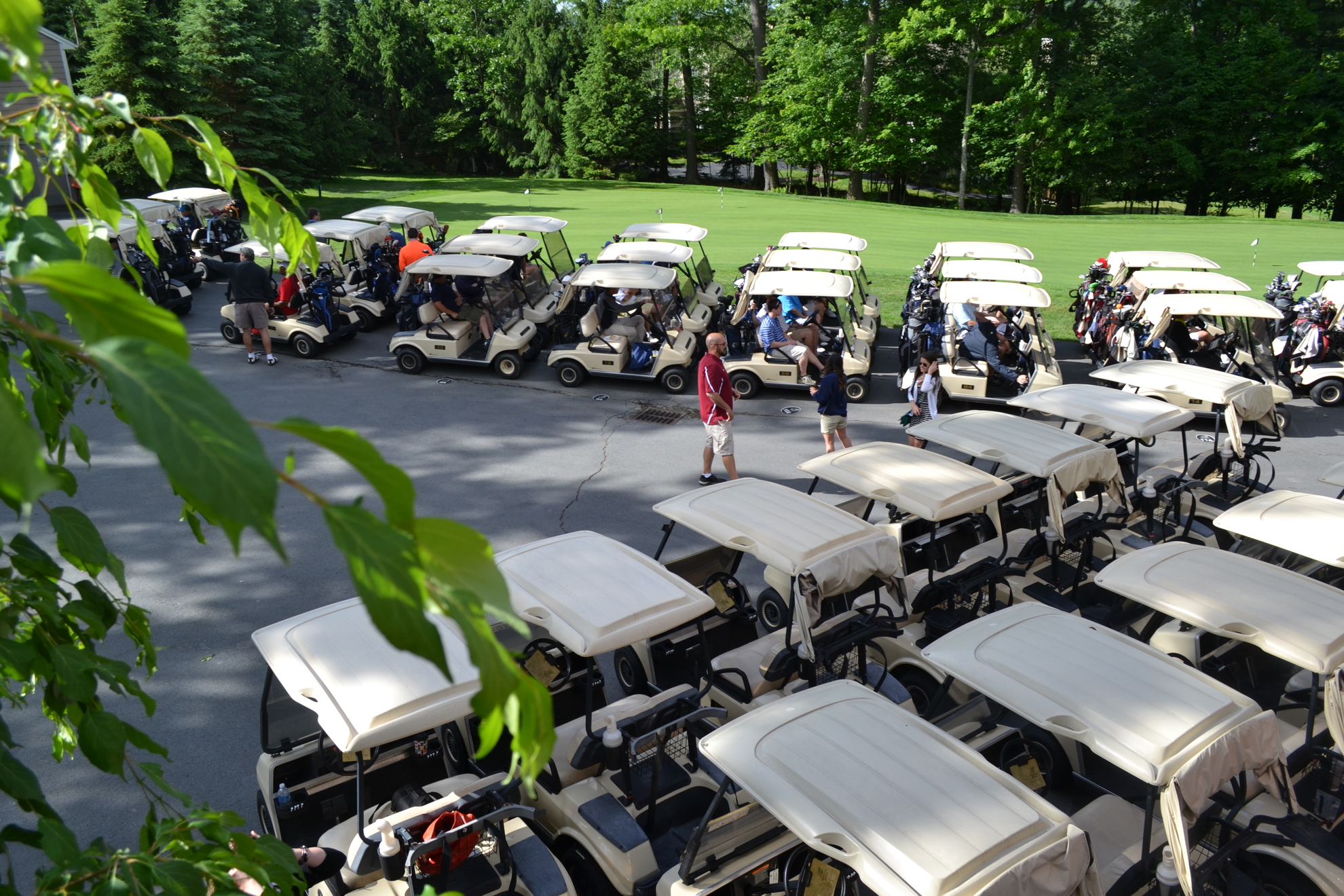 Lineup of golf carts.