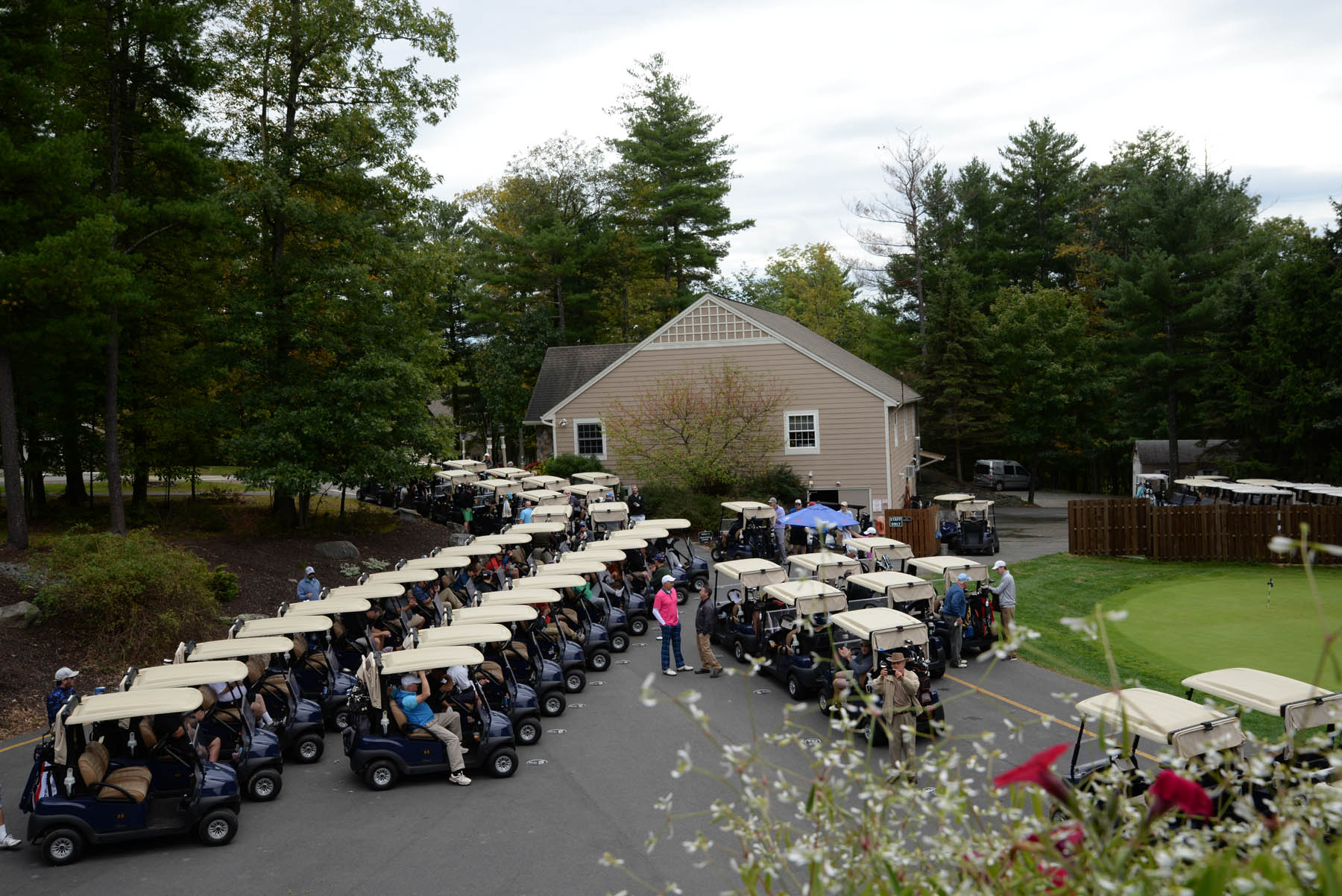 Golf carts and golf members.