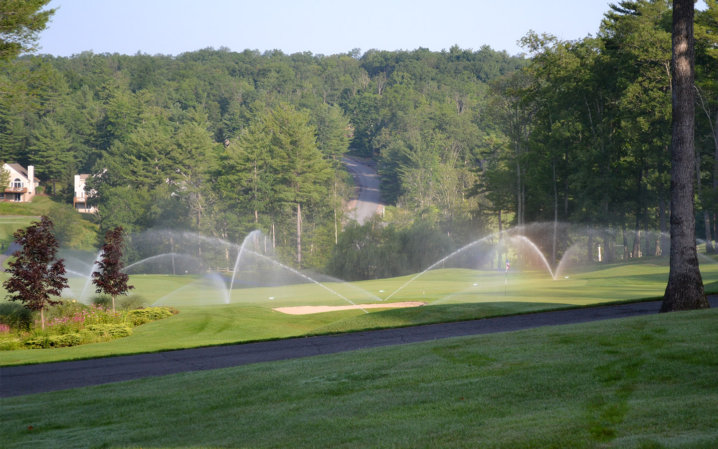 Sprinklers spraying on golf course.