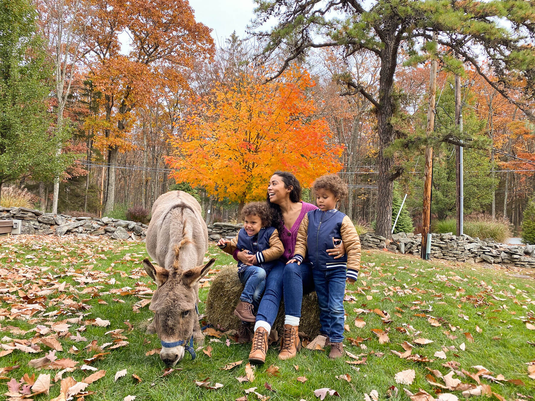 Mom and young boys sitting next to a pony.