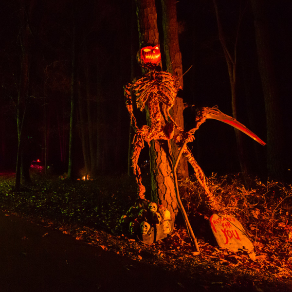 Skeleton with a Jack o Lantern head.