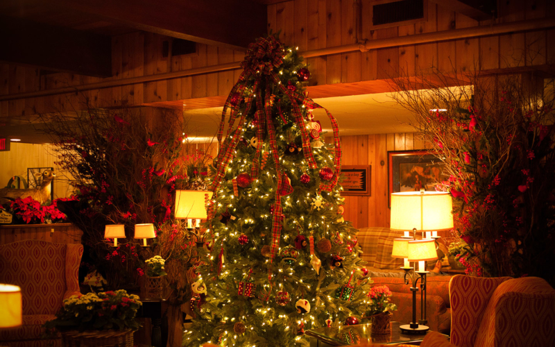 Indoor Christmas tree.