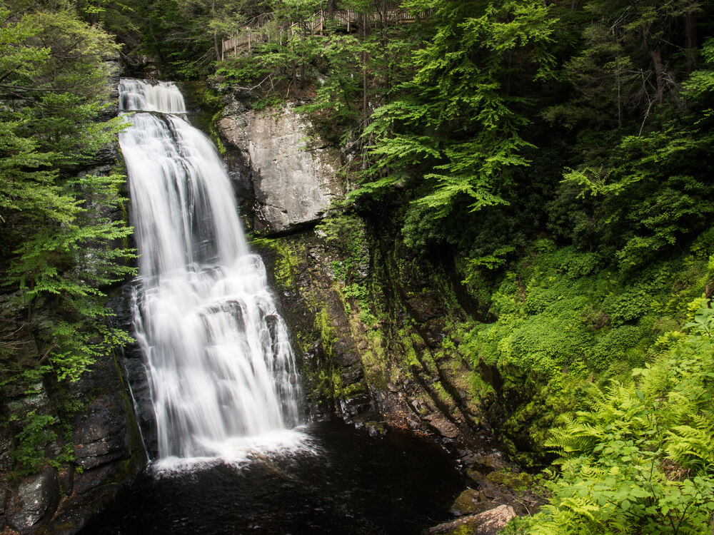 Photo of Poconos waterfalls from a wooded trail