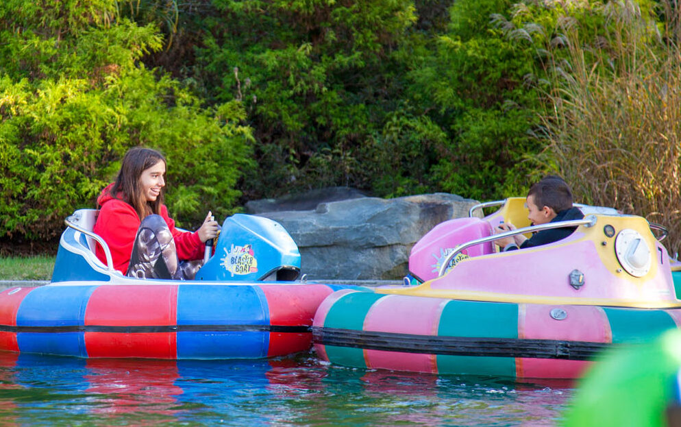 Bumper boats