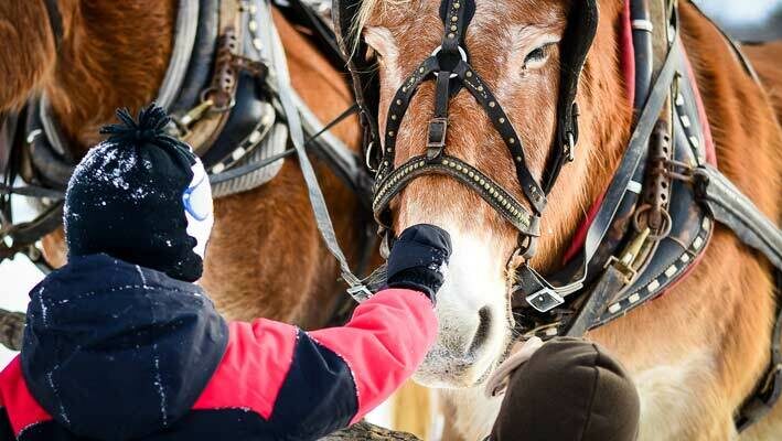 Child in winter clothes petting a sleigh horse.