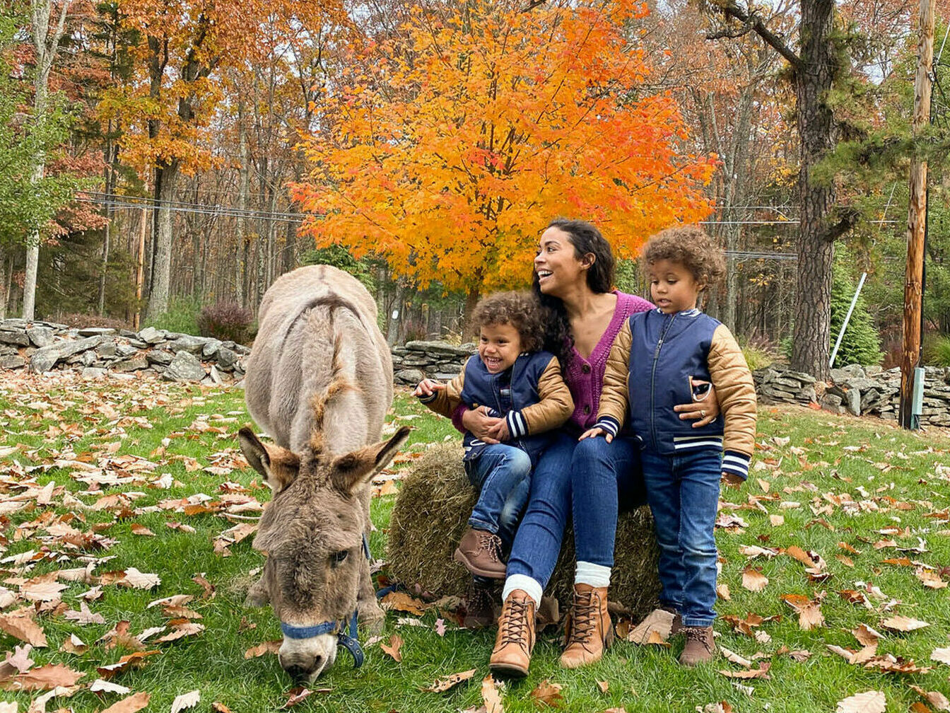 Mother and two young children next to a donkey.