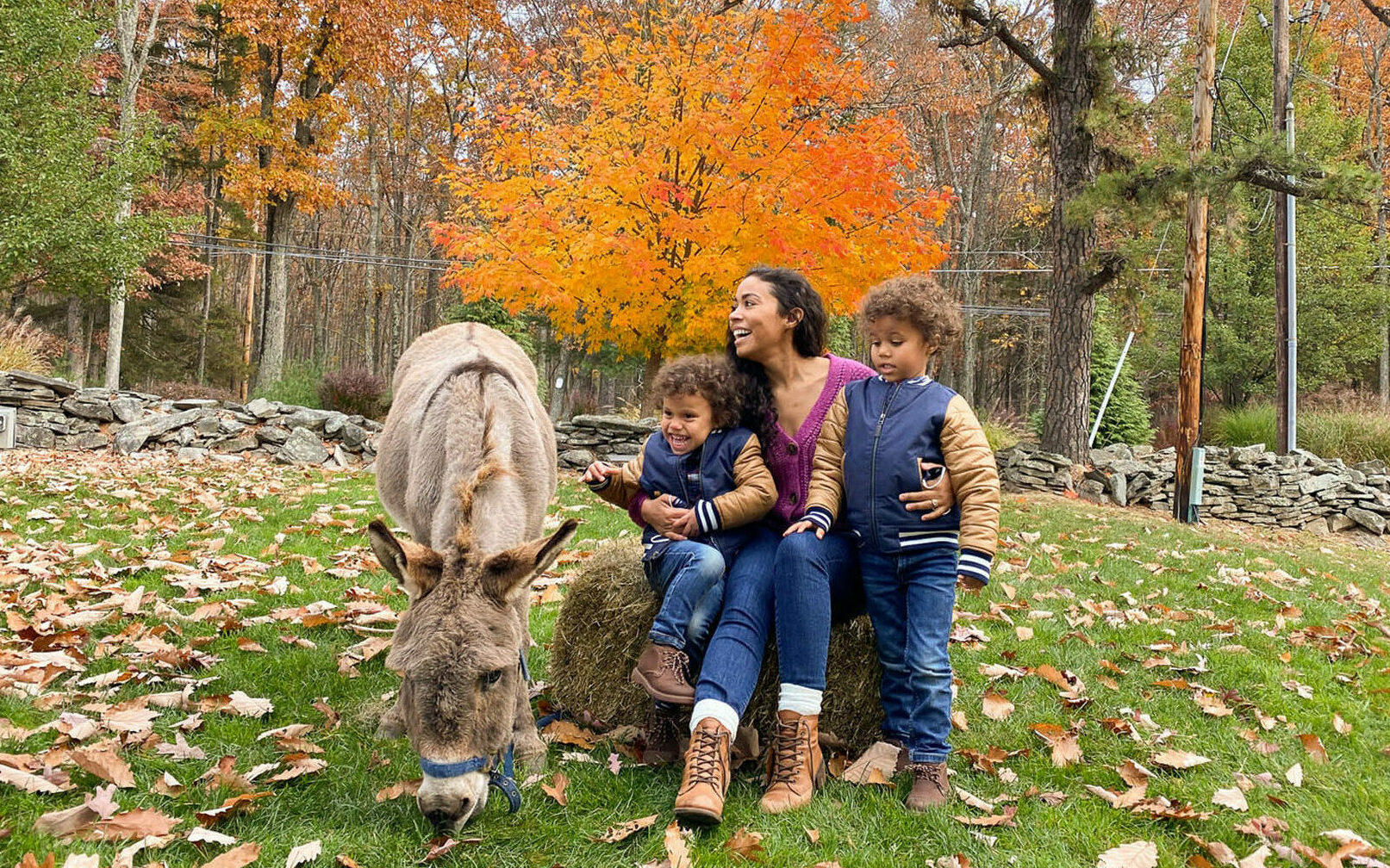 Mother and two young children next to a donkey.