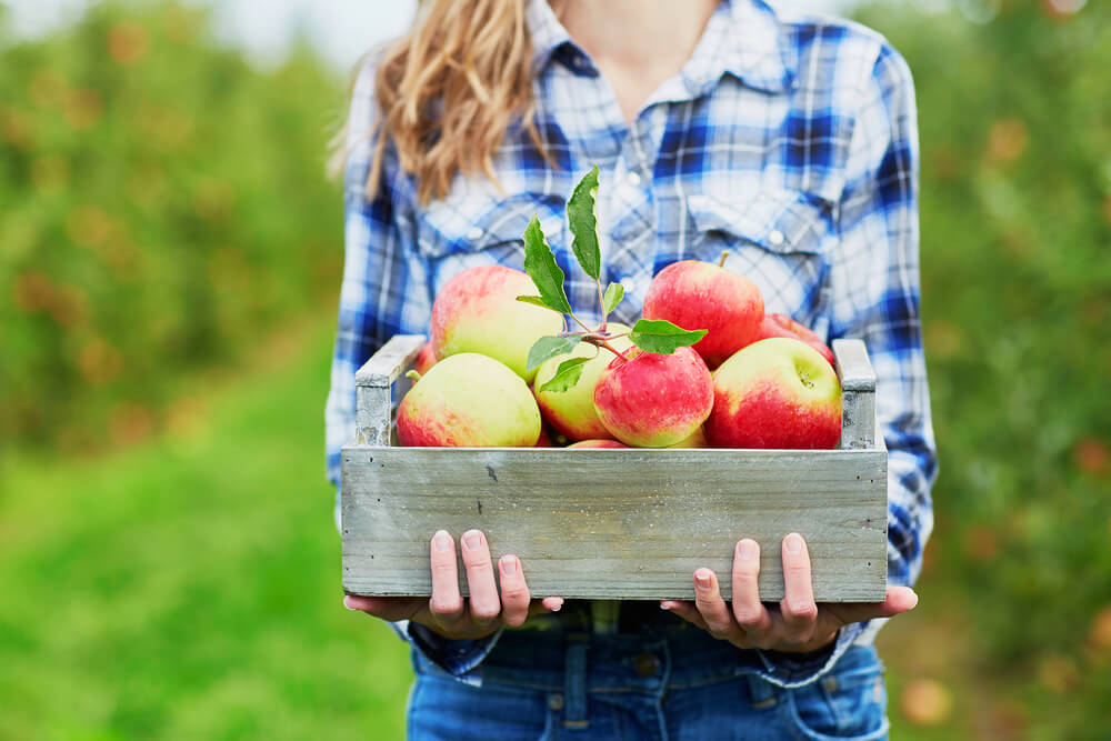 A woman with a basket of apples, one of the top flavors of fall.